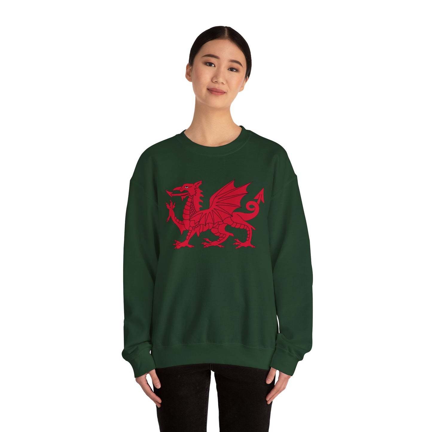 Welsh Dragon Sweatshirt