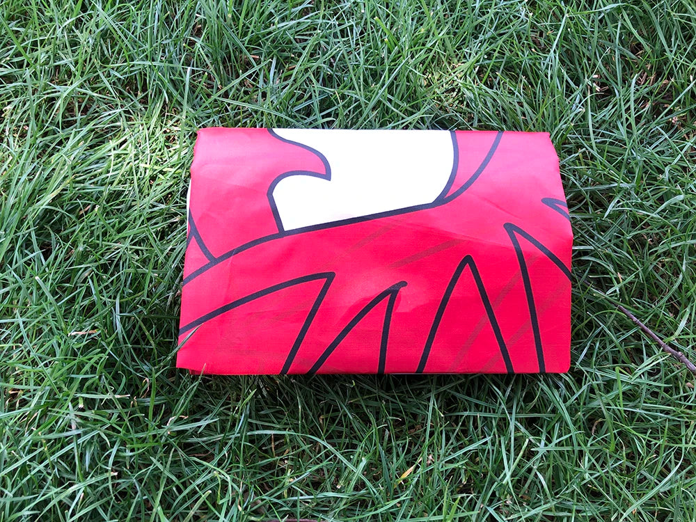 Wales Flag