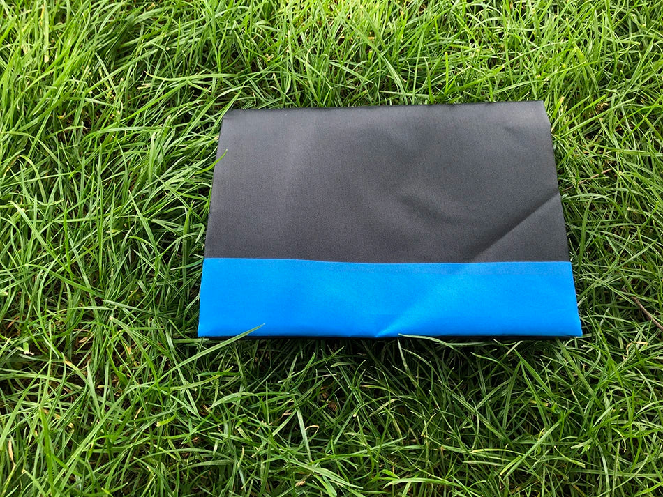 Estonia Flag