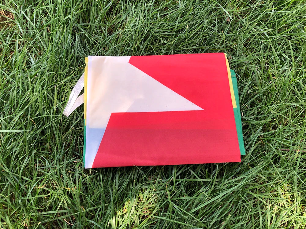Togo Flag