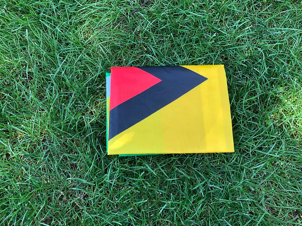 Guyana Flag