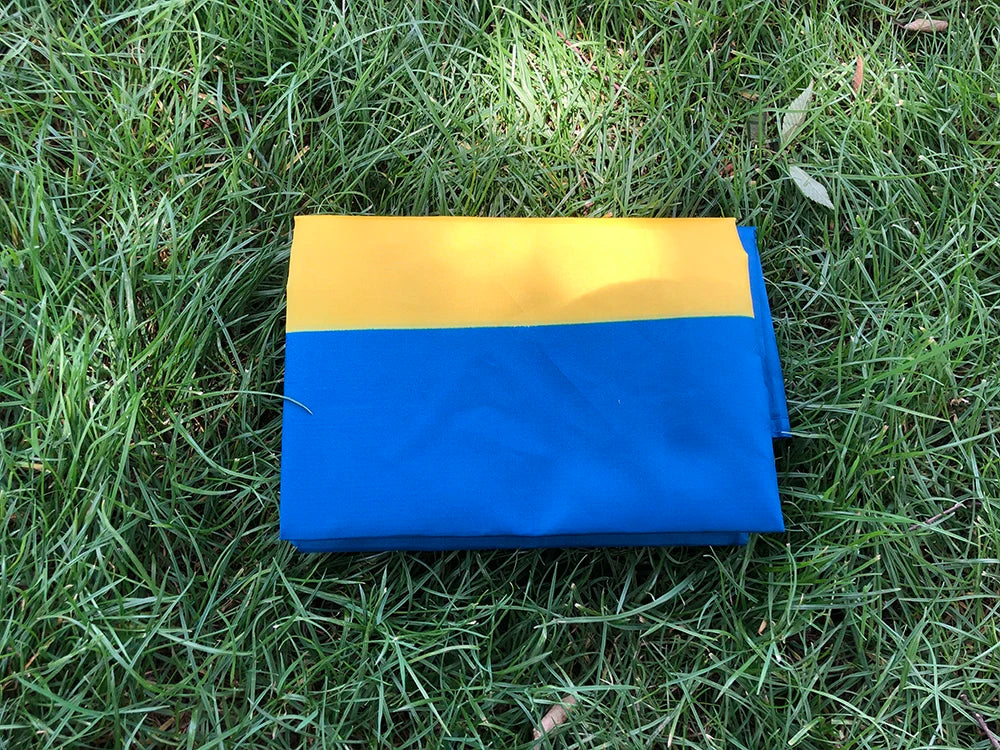 Sweden Flag