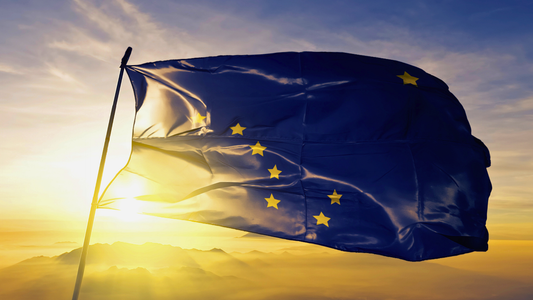 The Alaska state flag flying high with a brilliantly bright sun shining through.