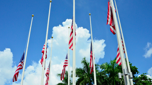 American flags flow at half-staff