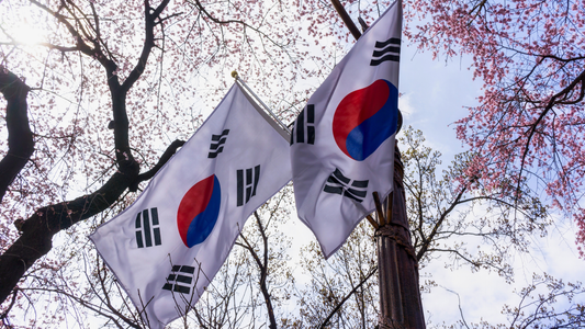 Two South Korea Taegeuk Flags hanging between Asian trees