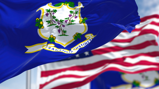 A close-up of the Connecticut state flag waiving in the wind beside the American flag.