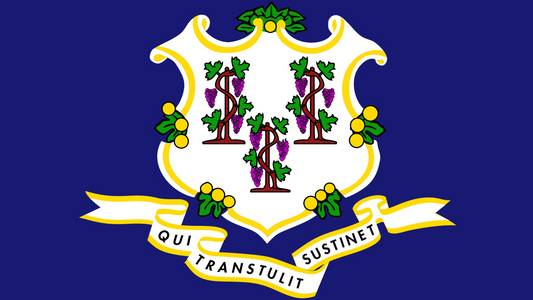 Flag of Connecticut with the motto "Qui Transtulit Sustinet" clearly visible.