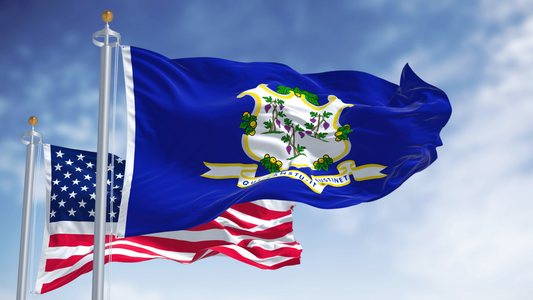 The CT state flag flying high next to the USA flag.