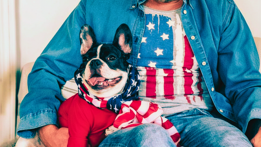 Man wearing vintage style american flag shirt relaxing with his dog