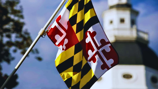 A close-up of the Maryland State Flag hoisted on a flagpole. A white building can be seen in the background