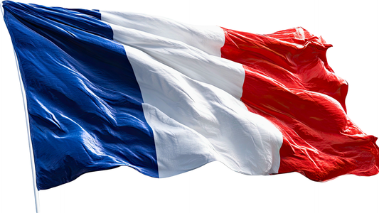 Hoisted French tri-color flag against a white background