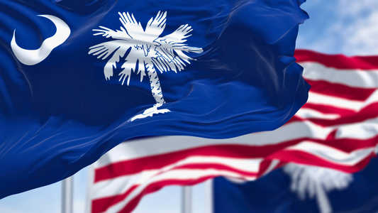 Close-up of the South Carolina State Flag hanging on flag pole next to the US Flag