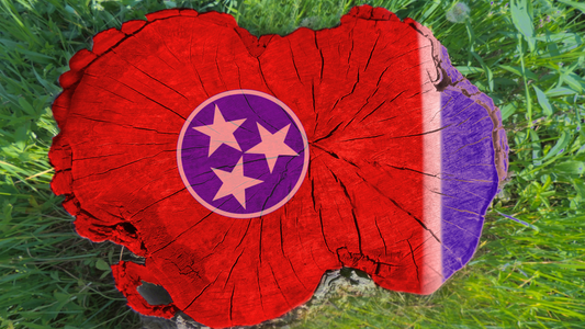 The Tennessee state flag painted on top of a wooden tree stump. It looks very artistic.
