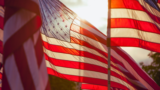 Multiple US Flags displayed  on flagpoles with the sun shining brightly through