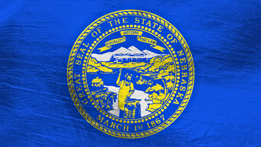 Close-up of US state flag of Nebraska, showing the intricate seal in the middle of a blue rectangle.
