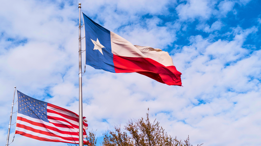 America Flag and Texas Lone Star flying side by side on a cloudy winters day.