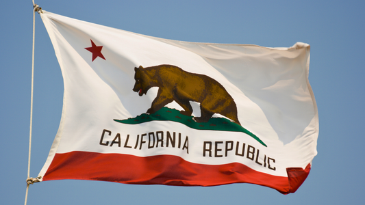 US State Flag of the California Republic hoisted on a flag pole, flying against a clear blue sky.