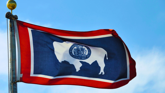Wyoming Flag hoisted on a flagpole. Only the flag on the flag pole and the blue sky is visible.