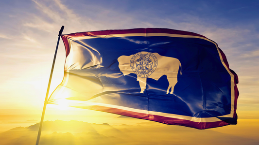 Flag of Wyoming flying high on a flag pole. The sun is shinning through the flag with a brilliant glow.