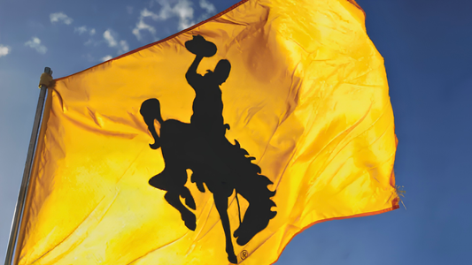 Close-up of a Wyoming Cowboy Flag on a flag pole with blue skies visible in the background.