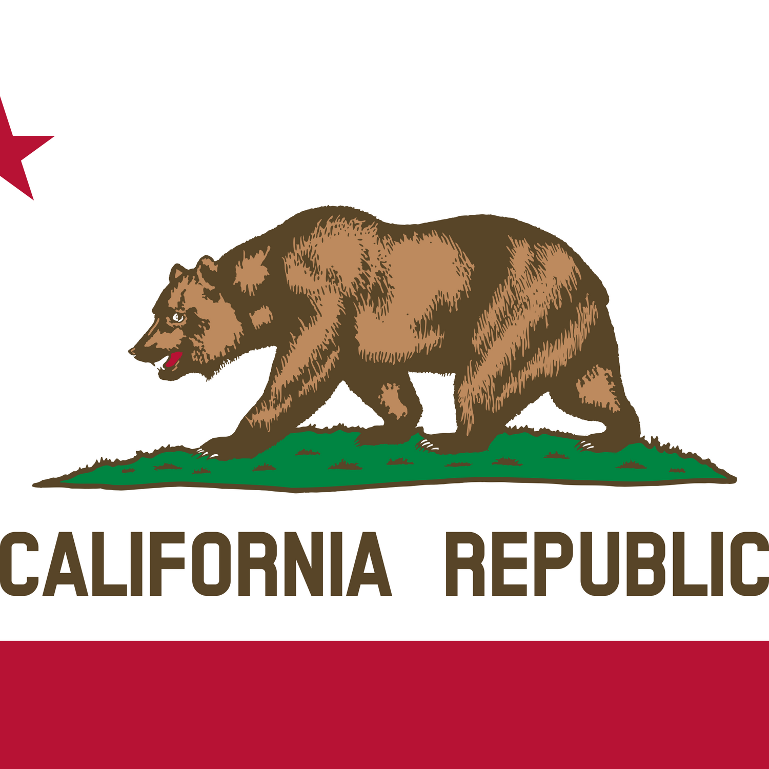 US State: California CA flag