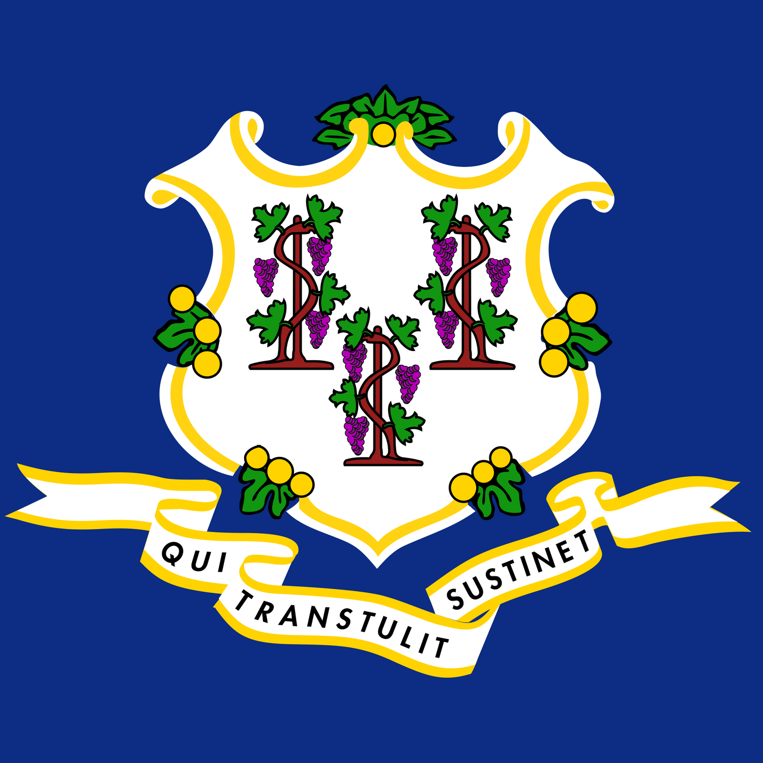US State: Connecticut CT flag