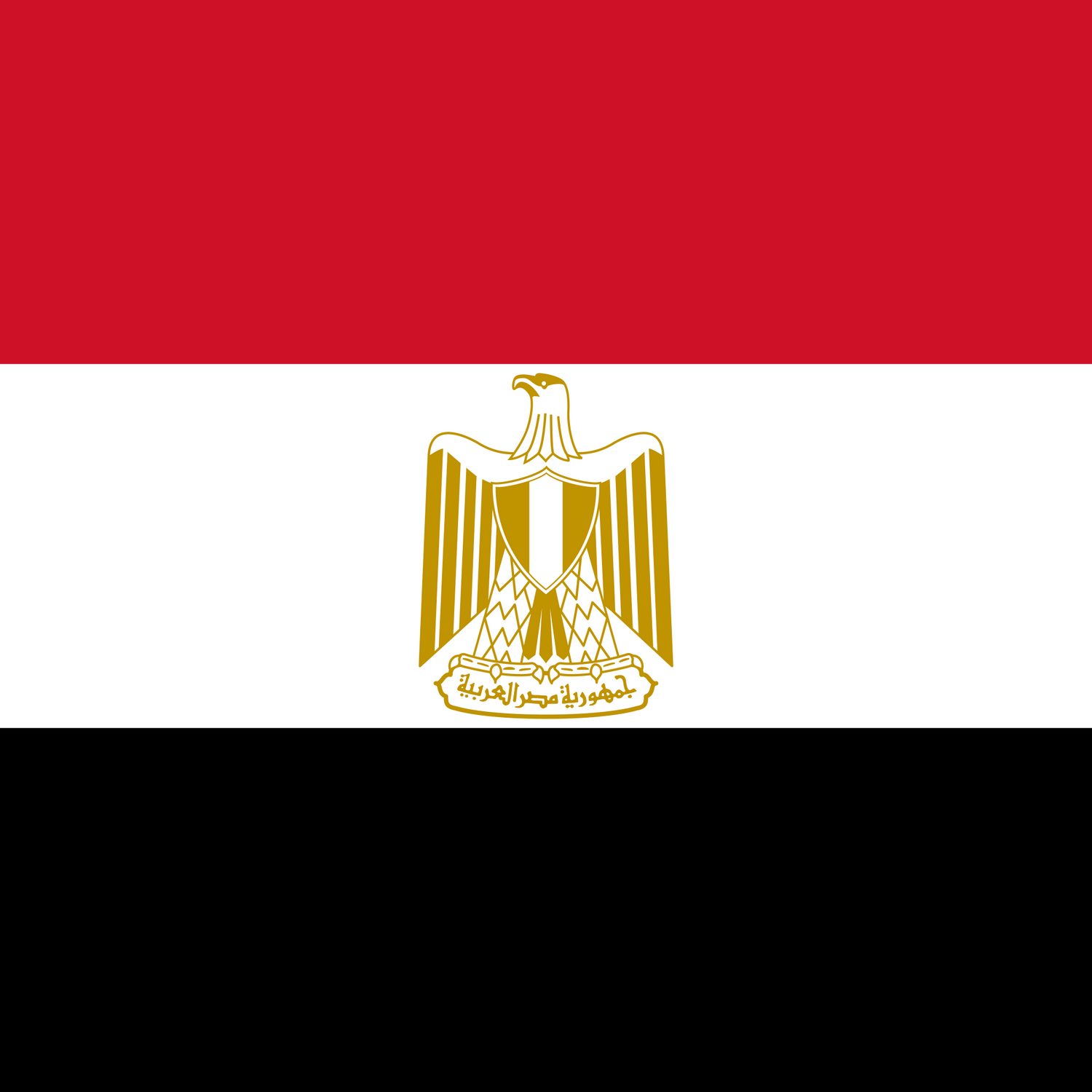 Egypt Flag History: Facts & Information