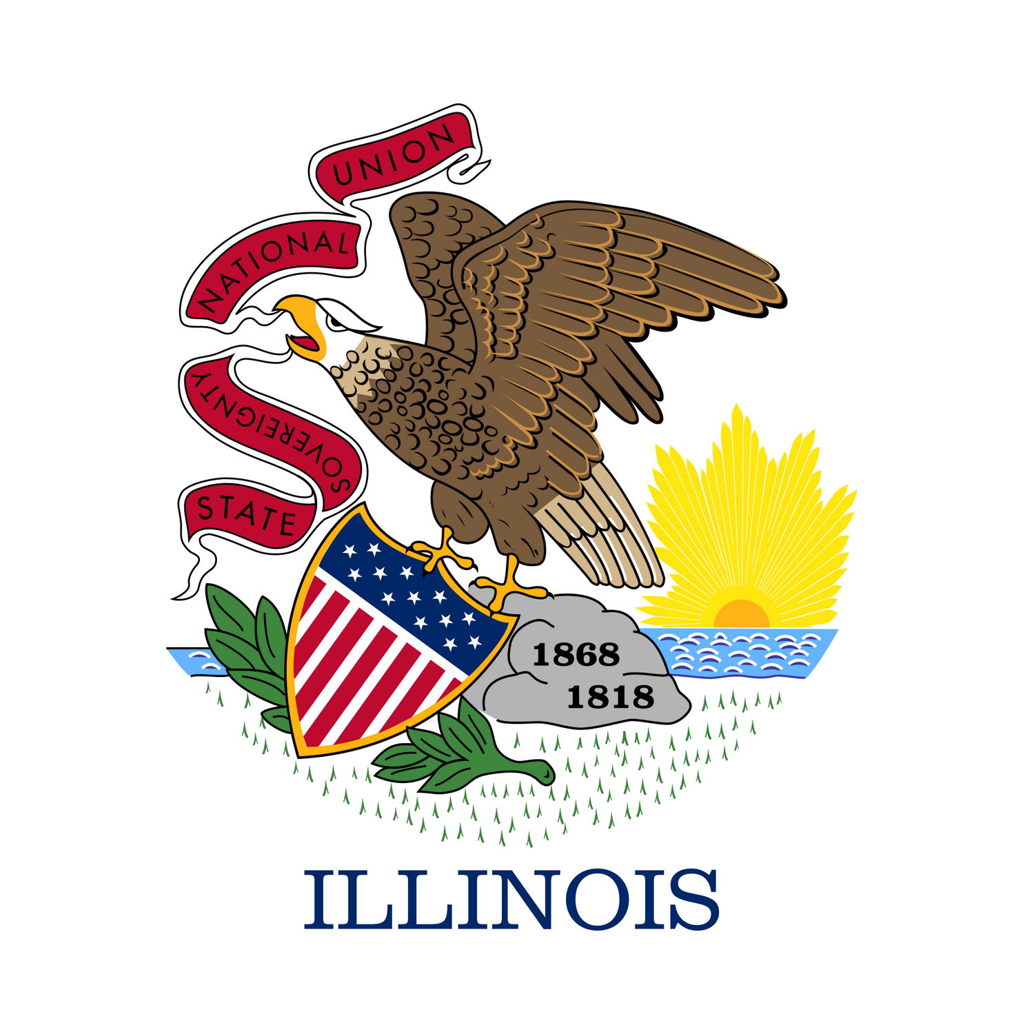 US State: Illinois IL flag