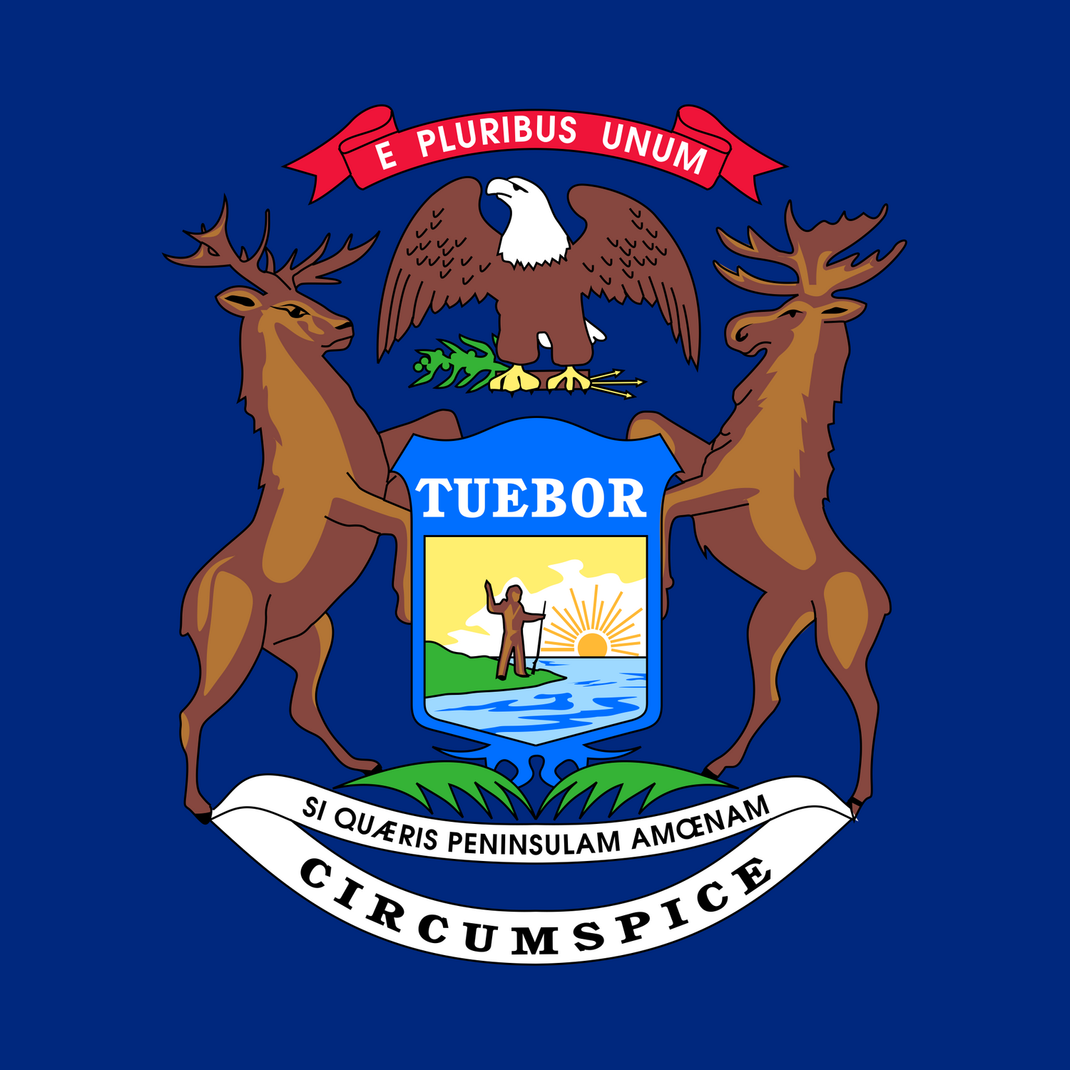 US State: Michigan MI flag