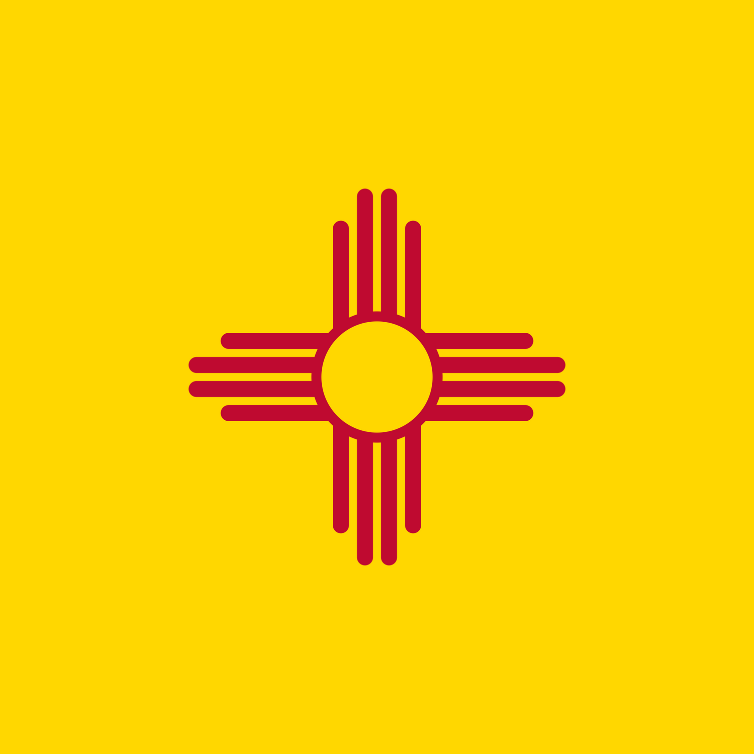 US State: New Mexico NM flag