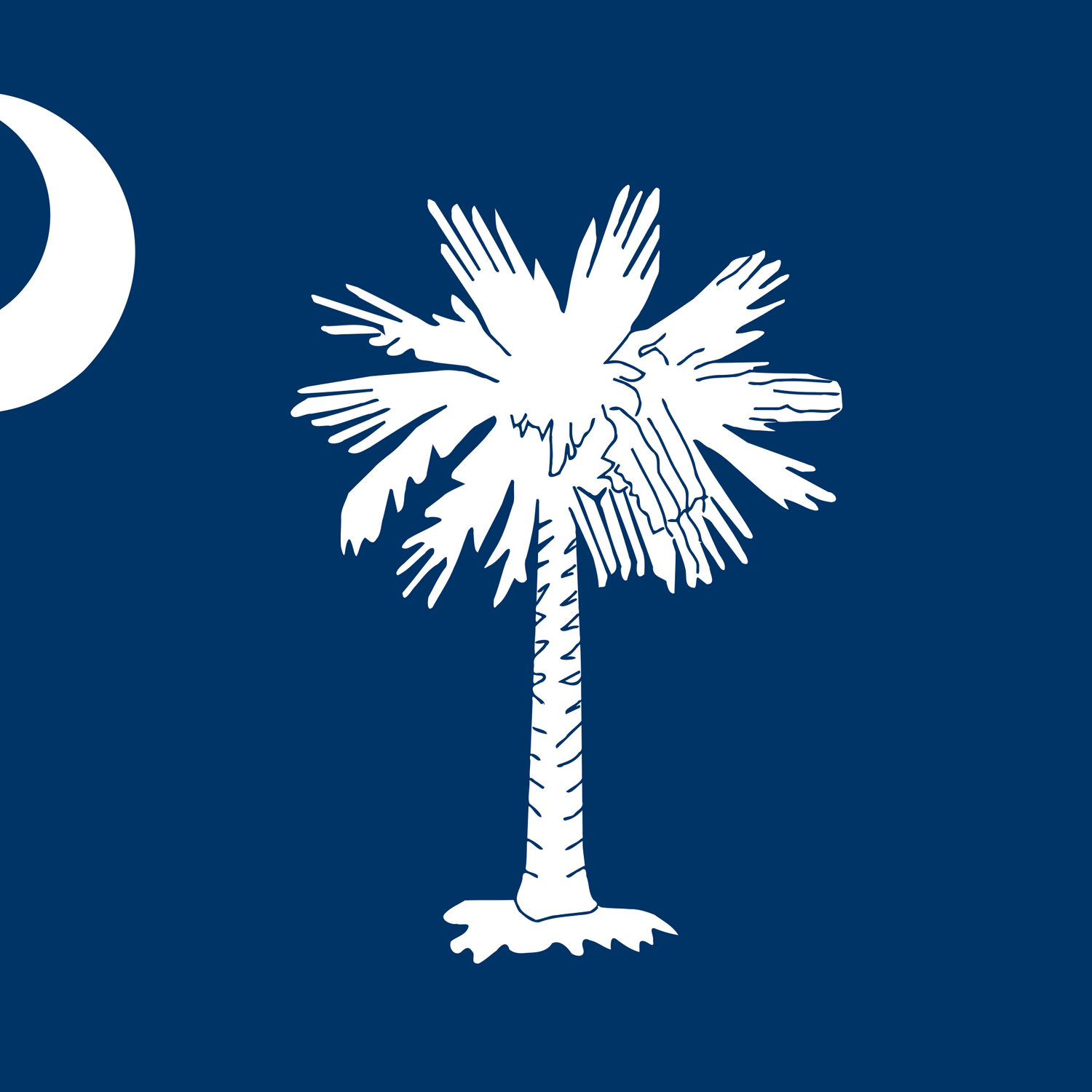 US State: South Carolina SC flag