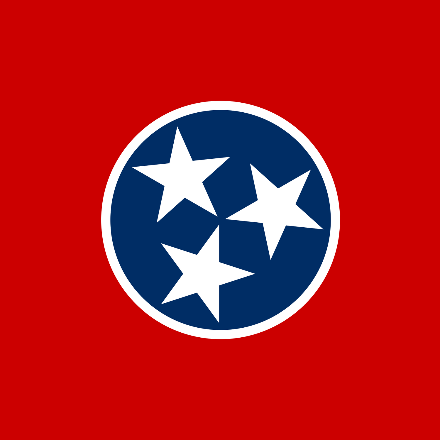 US State: Tennessee TN flag