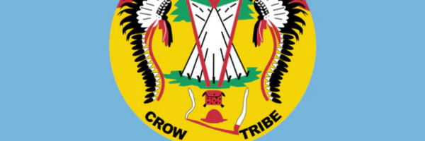 Native American Flag Hoodies