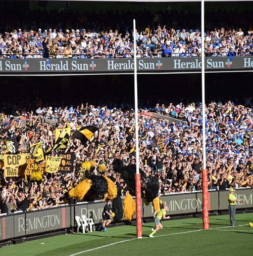 Fans at an AFL match waving their flags
