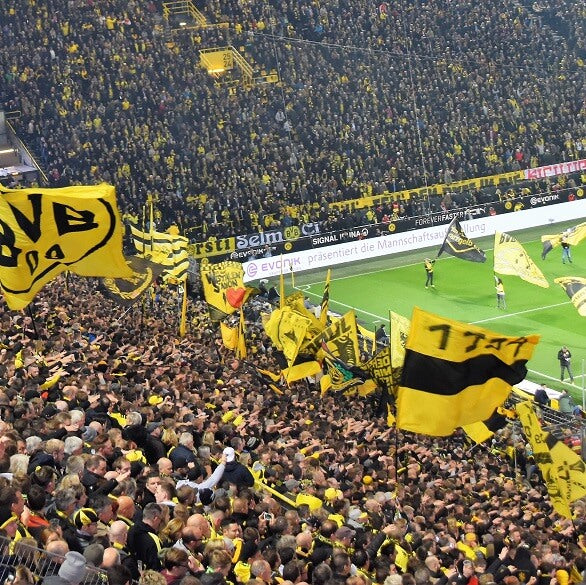 Fans waving their flags in the stands at a football match