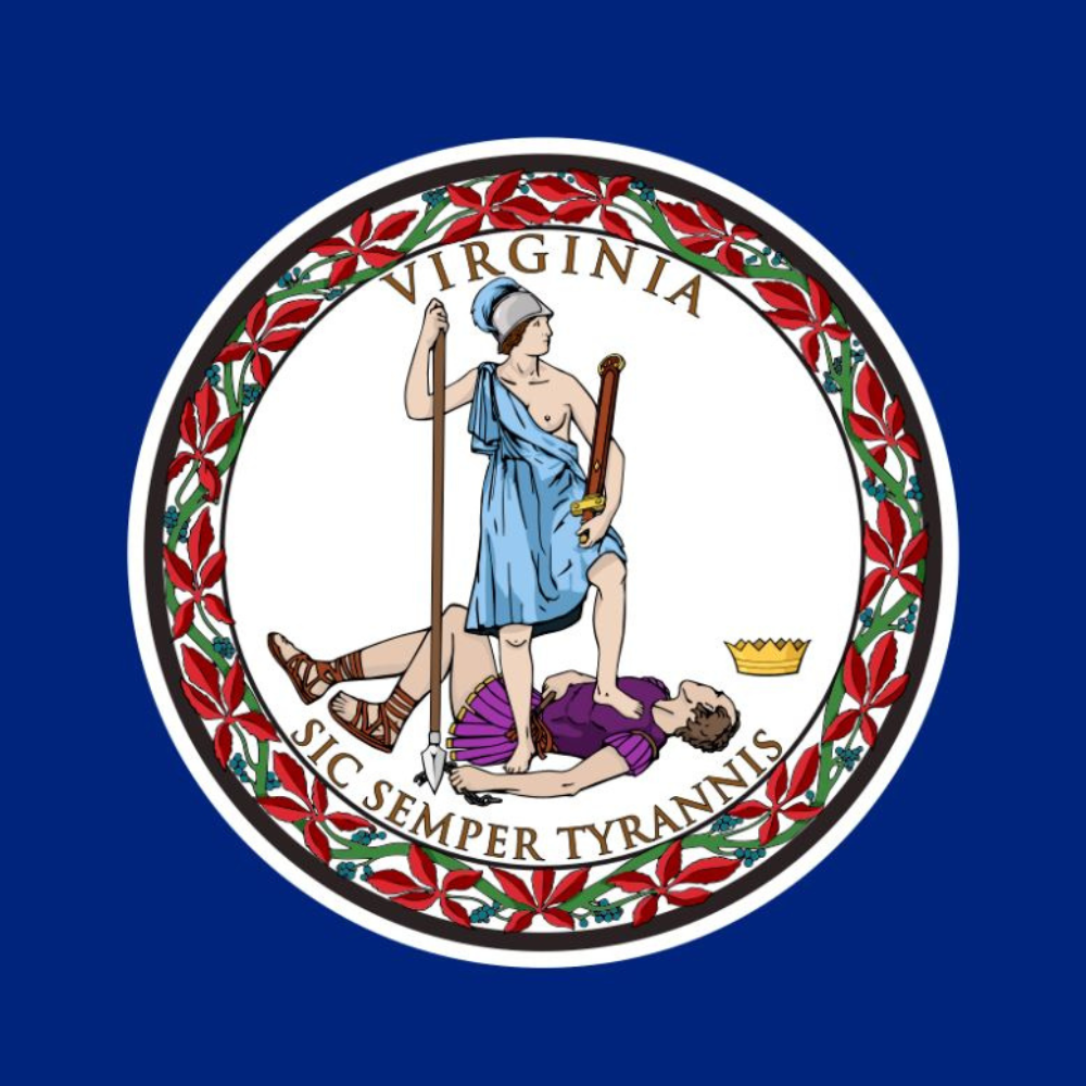 US State: Virginia VA flag