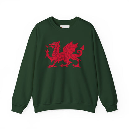 Welsh Dragon Sweatshirt