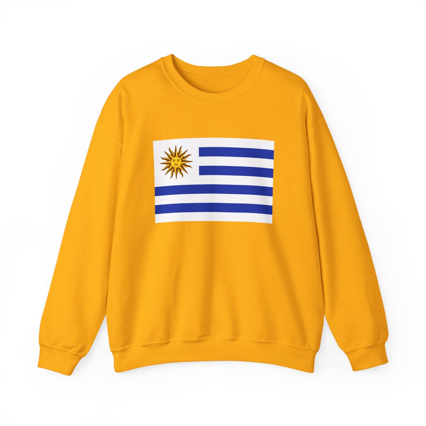 Uruguay Flag Sweatshirt