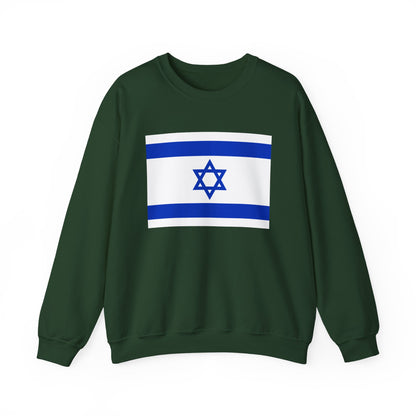 Israel Flag Sweatshirt