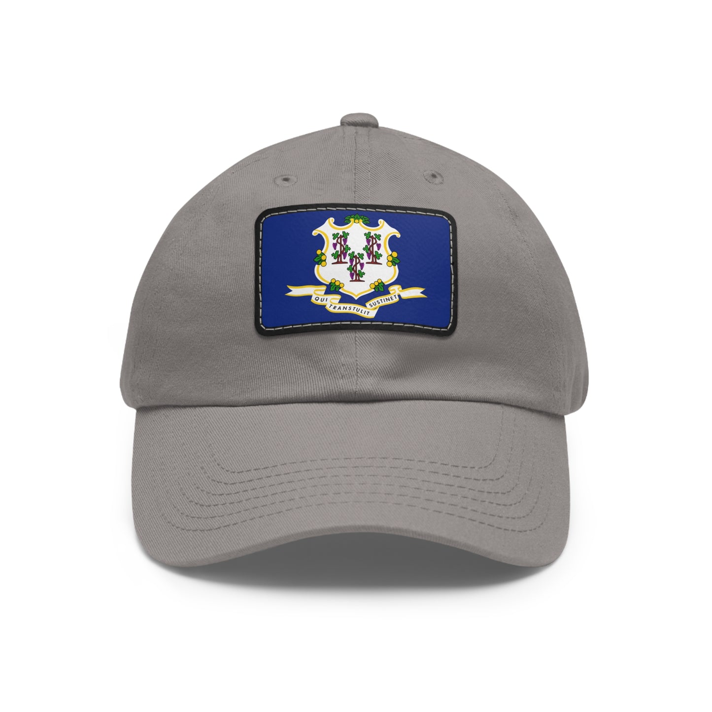 Connecticut Leather Patch Hat