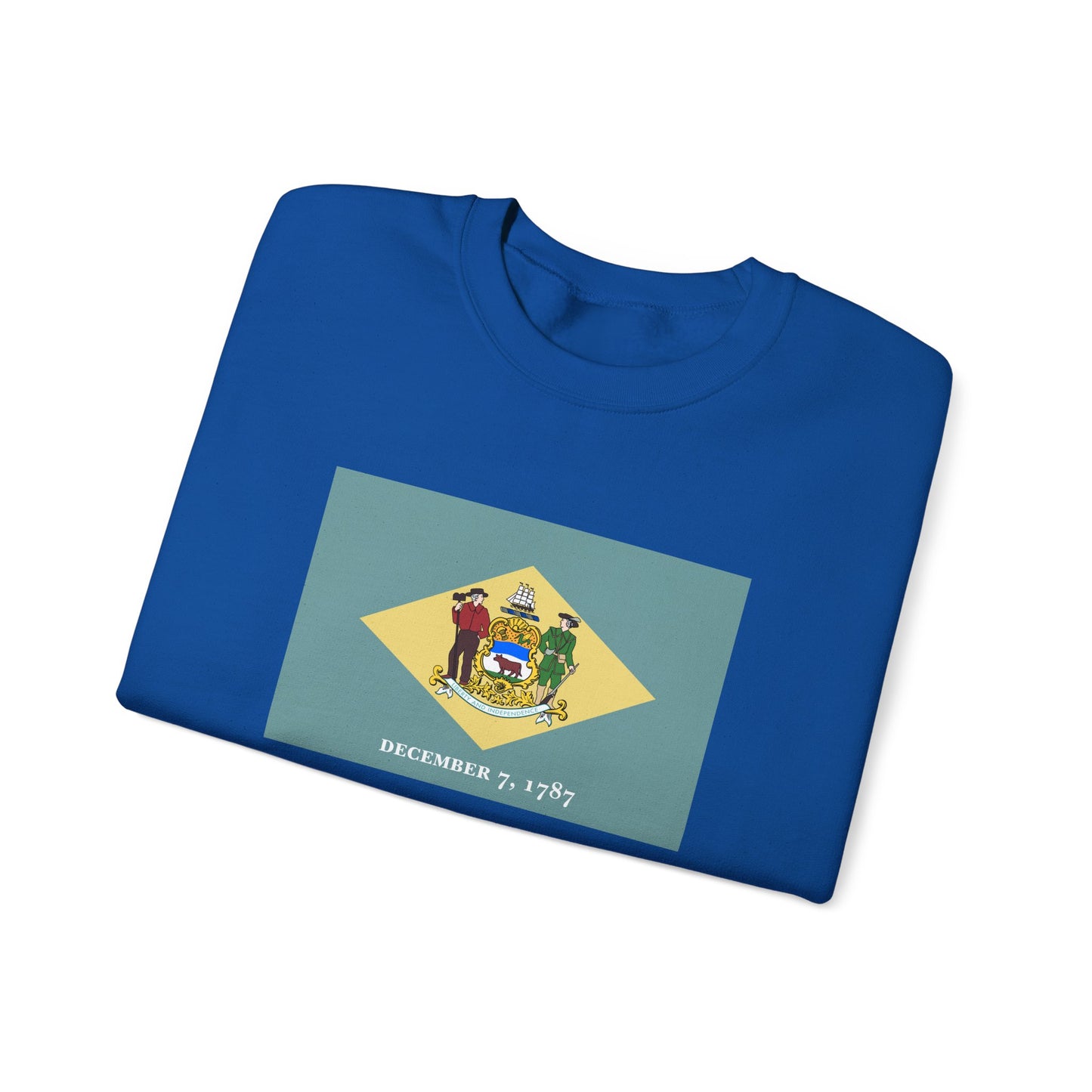 Delaware Flag Sweatshirt