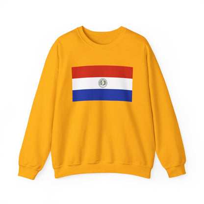 Paraguay Flag Sweatshirt