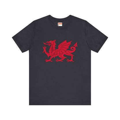 Welsh Dragon T-shirt