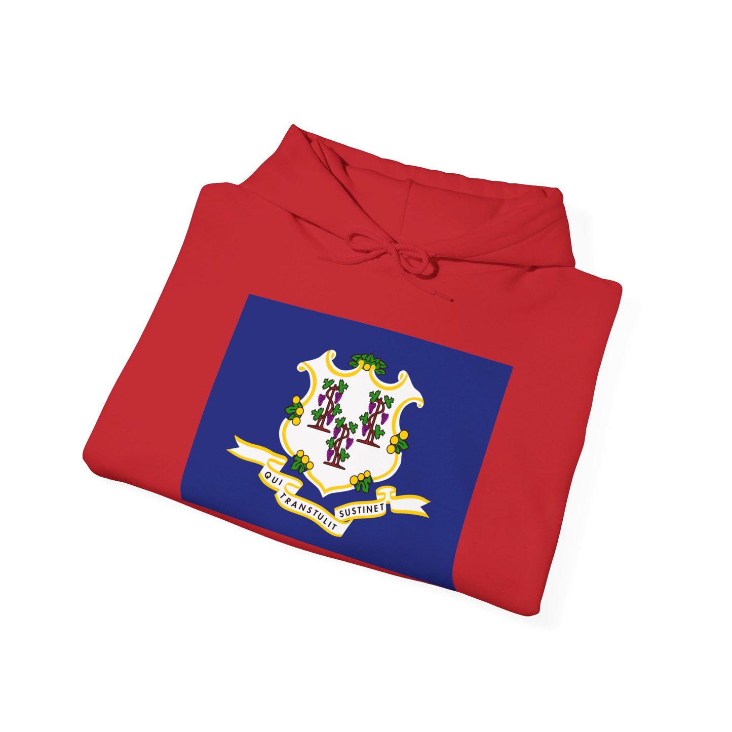 Connecticut Flag Hoodies