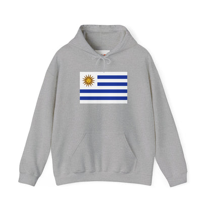 Uruguay Flag Hoodies