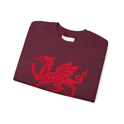 Welsh Dragon Sweatshirt