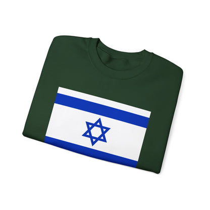 Israel Flag Sweatshirt