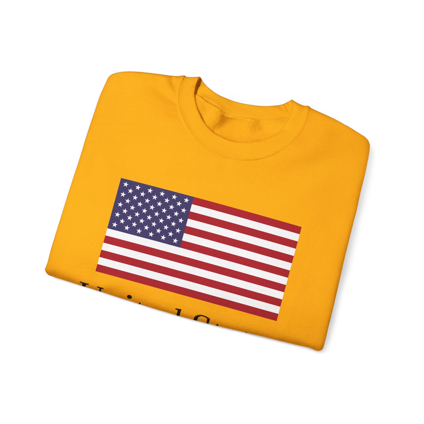 United States Sweatshirt