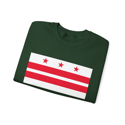 District of Columbia Flag Sweatshirt