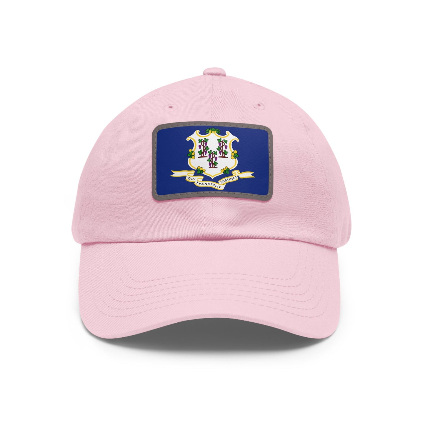 Connecticut Leather Patch Hat